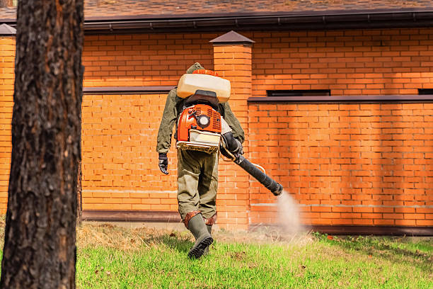 Trusted Fumigation Services service in Potosi, TX - Nex Pest Control